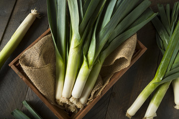 Canvas Print - Raw Green Organic Leeks