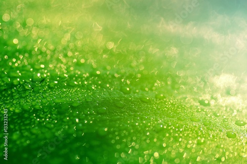 Naklejka - mata magnetyczna na lodówkę the rain drops on the green leaf in closeup