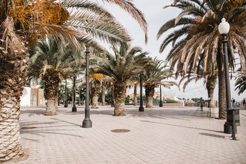 Wall Mural - tarragona spain beach landscape