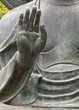 Buddha's Hand, Golden Gate Park, San Francisco