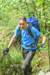 © ARochau - Mann beim Wandern auf einem Steig im Wald