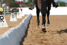 Close Up Of The Horse Shoe In Motion. Dressage Competition.
