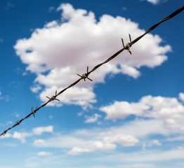 Wall Mural - Barbed wire againdt blue cloudy sky.