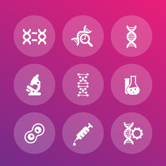 Poster - genetics icons set, dna chains, experiments, genetic modification, research