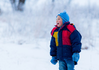 Happy boy and snow