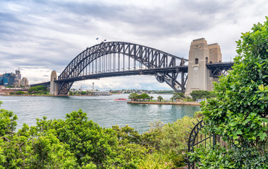 Sticker - Sydney Harbour Bridge framed by vegetation