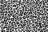 Fototapeta Konie - texture repeating seamless pattern snow leopard jaguar white leopard