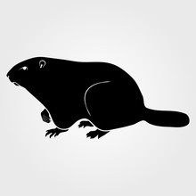 Groundhog Icon On A White Background