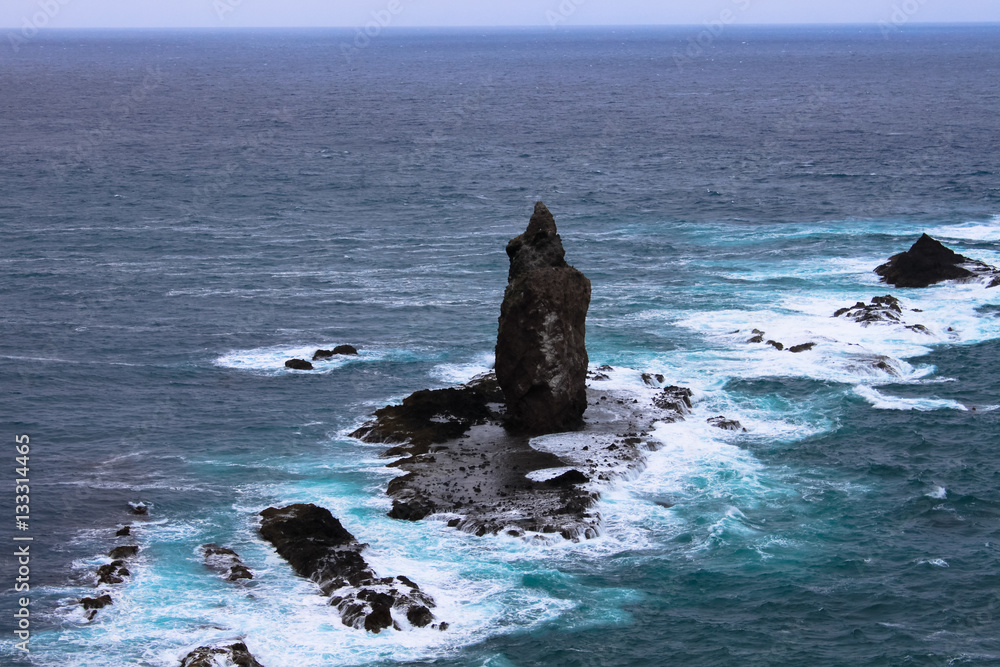 Japan tsunami killed