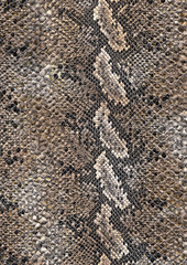 Poster - reptile skin surface