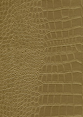 Canvas Print - reptile skin surface