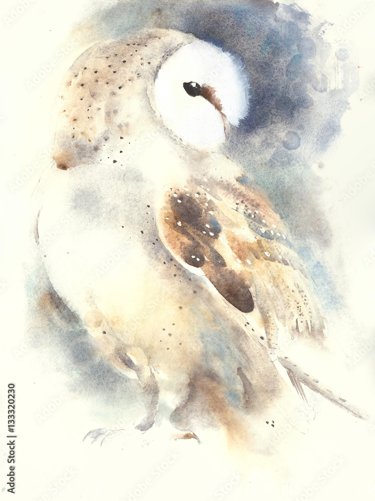 Acrylic Prints Barn Owl Watercolor Painting Handmade Animal