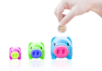 women young hand putting money coin into saving pig, finance theme,Isolated on white background