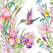 iris flowers and hummingbirds .watercolor seamless pattern