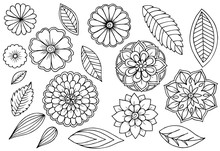 Set Of Doodle Floral Elements For Design Or Coloring