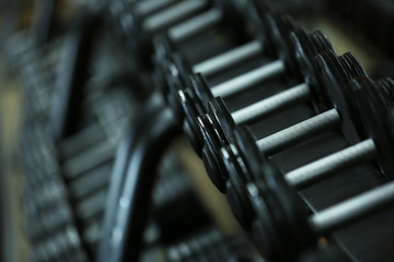 Wall Mural - Rack with dumbbells in gym, close up view