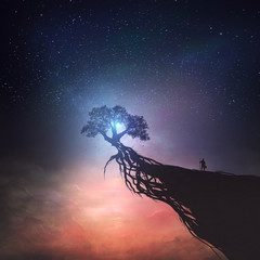 Wall Mural - Tree and night sky