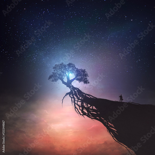 Zdjęcie XXL Drzewo i nocne niebo