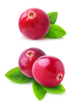 Isolated Cranberries. Two Images Of Cranberry Fruits With Leaves Isolated On White Background With Clipping Path