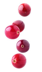 Wall Mural - Isolated flying berries. Five falling cranberry fruits isolated on white background with clipping path