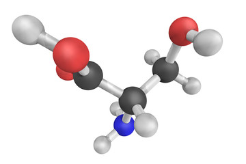 Poster - Serine, encoded by the codons UCU, UCC, UCA, UCG, AGU and AGC is