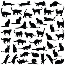 Cat Collection - Vector Silhouette