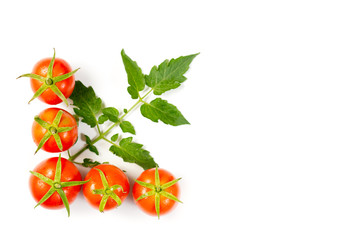 fresh tomato on white background.