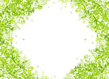 Fototapeta Panele - 光りと緑の葉 