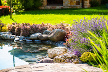 Beautiful Backyard Landscape Design. View Of Colorful Trees And Decorative Trimmed Bushes And Rocks