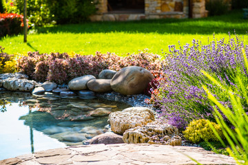 beautiful backyard landscape design. view of colorful trees and decorative trimmed bushes and rocks