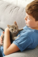 Wall Mural - Child with kitten on grey sofa at home