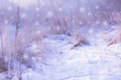 Zima w pastelowych kolorach - śnieżny poranek 
