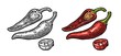 © MoreVector - Chilli. Chilli whole, half and slice. Vector vintage engraved