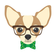 Portrait Of Chihuahua Dog With Glasses And Bow  Tie In Flat Style. Vector Illustration Of Hipster Dog  For Cards, T-shirt Print, Placard.