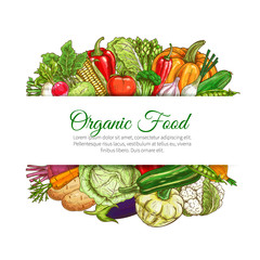 Organic food vegetables harvest vector poster