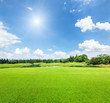 © ABCDstock - field of green grass and blue sky in summer day