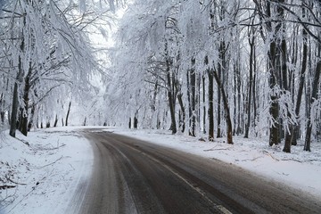 Wall Mural - Winter Road Turns