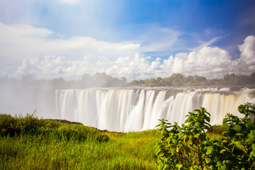 Wall Mural - Victoria falls through through the mist and spray.  Blue sky and green grass in the foreground.