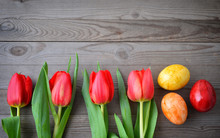 Easter Background With Color Eggs And Red Tulips. 