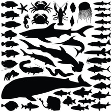 Fish And Sea Animal Collection - Vector Silhouette