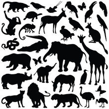 Zoo Animals Collection - Vector Silhouette