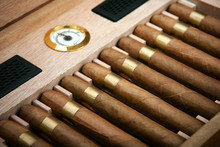 Cigars In The Humidor