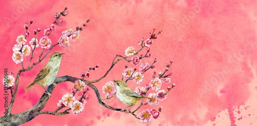 Foto-Kissen premium - The little songbirds on Japanese apricot at sunset.  Watercolor. (von koroleva8)