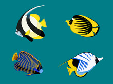 Ocean Exotic Fish Set. Underwater Red Sea Collection