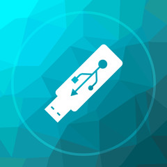 Canvas Print - Usb flash drive icon