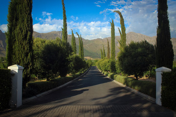 Wineyards areas near Cape Town, South Africa