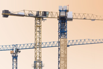 Group of construction cranes