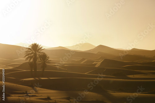 Coucher De Soleil Dans Le Désert Buy This Stock Photo And