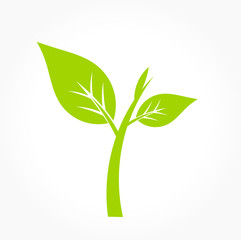 Wall Mural - Green plant icon