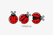 Ladybug Logo Set On White Design Background